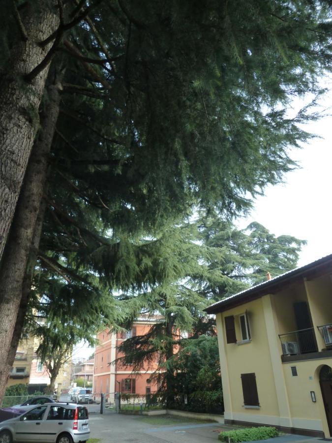 Ferienwohnung Il Giardinetto - Smart Working - Airport - Private Parking - Private Garden - Ducati - Philip Morris Bologna Exterior foto